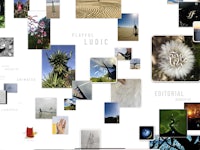 a collage of photos and pictures on a white background