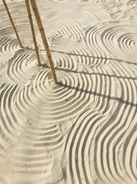 a sand dune with bamboo sticks in the sand